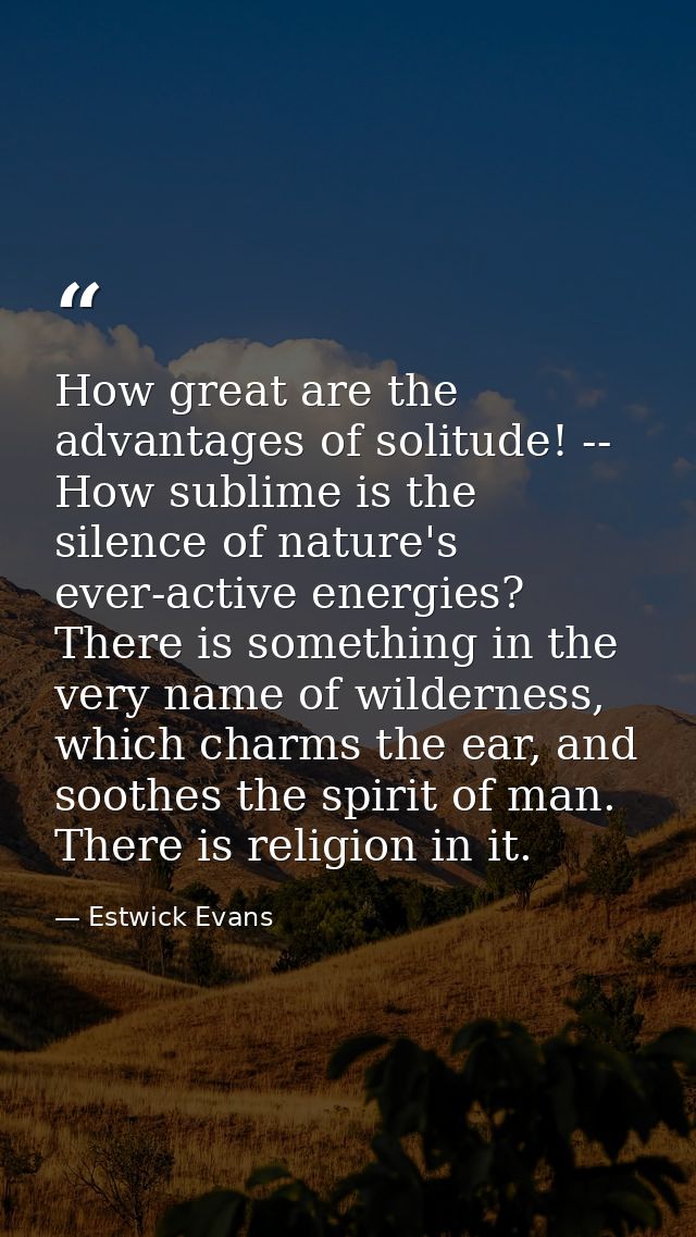 How great are the advantages of solitude! -- How sublime is the silence of nature's ever-active energies? There is somet — Estwick Evans