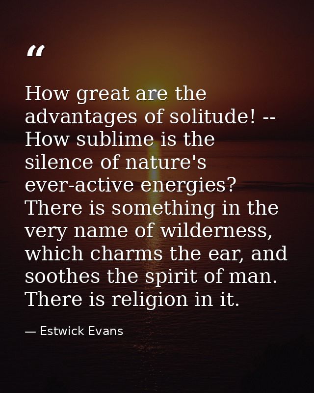 How great are the advantages of solitude! -- How sublime is the silence of nature's ever-active energies? There is somet — Estwick Evans