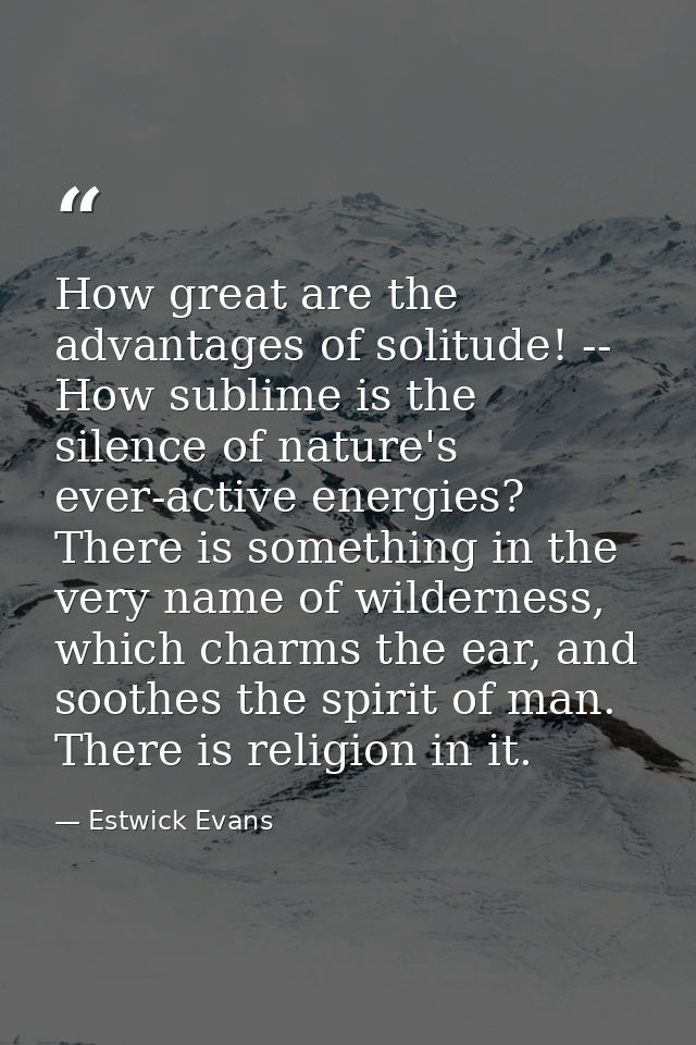 How great are the advantages of solitude! -- How sublime is the silence of nature's ever-active energies? There is somet — Estwick Evans