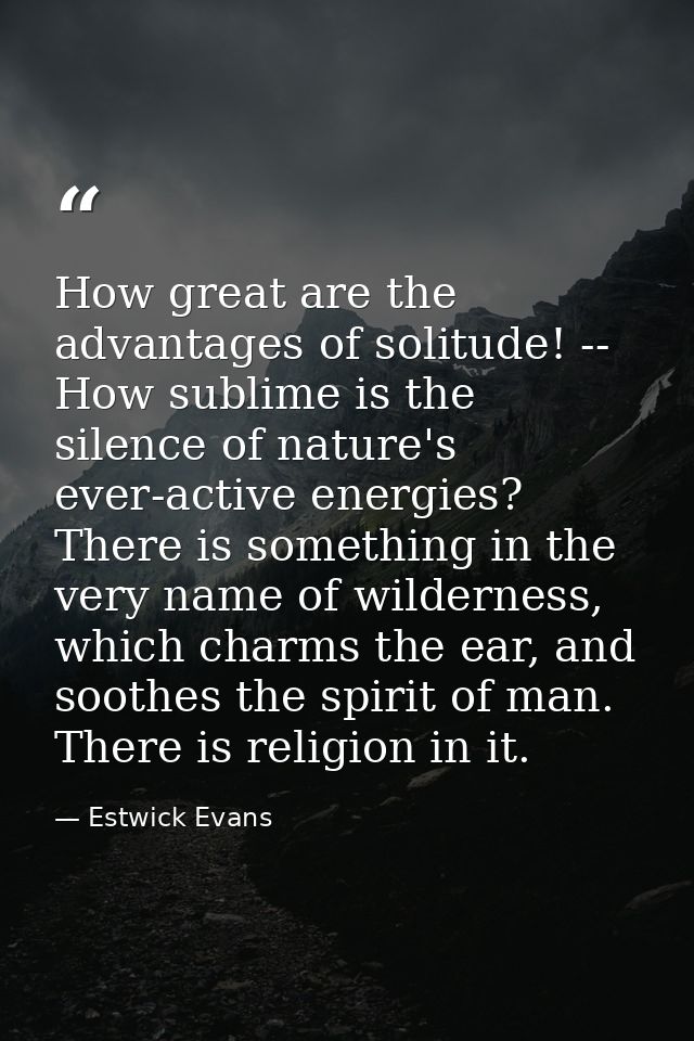 How great are the advantages of solitude! -- How sublime is the silence of nature's ever-active energies? There is somet — Estwick Evans