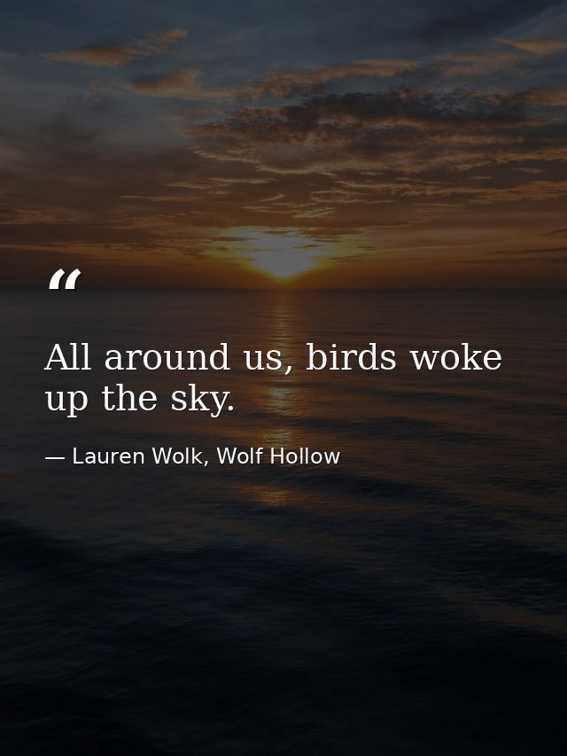 All around us, birds woke up the sky. — Lauren Wolk, Wolf Hollow