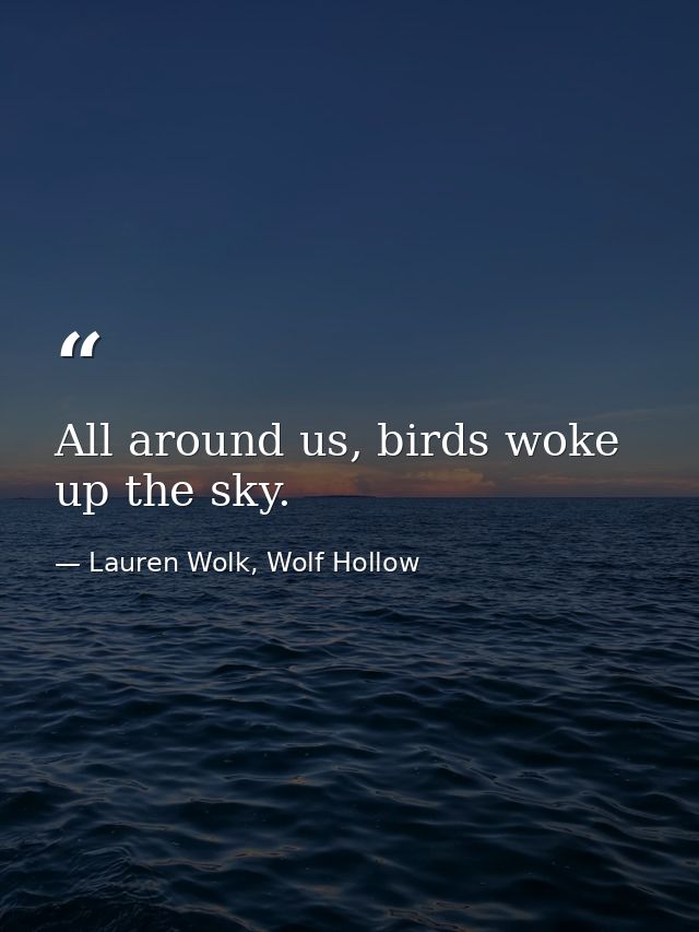 All around us, birds woke up the sky. — Lauren Wolk, Wolf Hollow