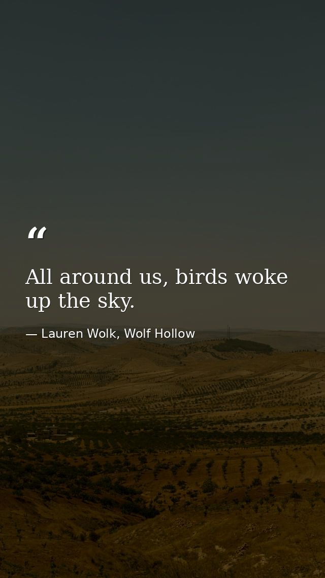 All around us, birds woke up the sky. — Lauren Wolk, Wolf Hollow