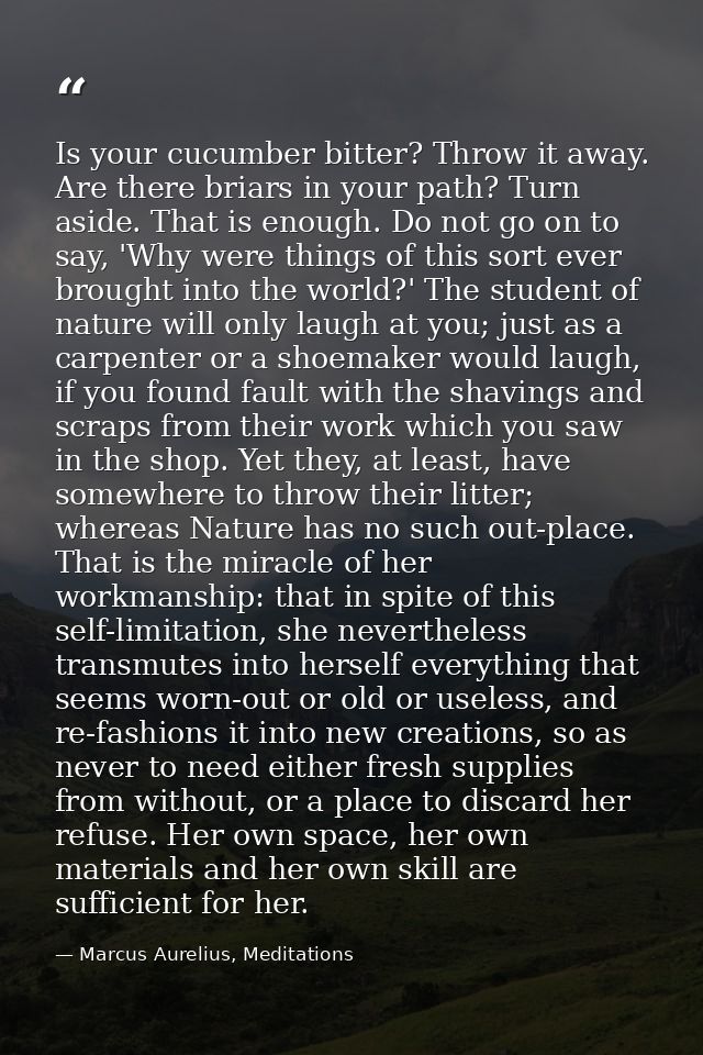 Is your cucumber bitter? Throw it away. Are there briars in your path? Turn aside. That is enough. Do not go on to say,  — Marcus Aurelius, Meditations