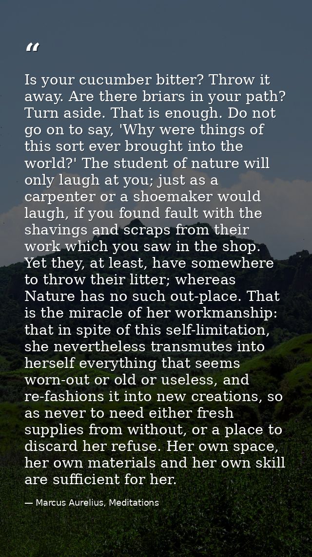 Is your cucumber bitter? Throw it away. Are there briars in your path? Turn aside. That is enough. Do not go on to say,  — Marcus Aurelius, Meditations