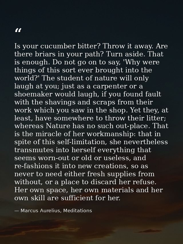 Is your cucumber bitter? Throw it away. Are there briars in your path? Turn aside. That is enough. Do not go on to say,  — Marcus Aurelius, Meditations