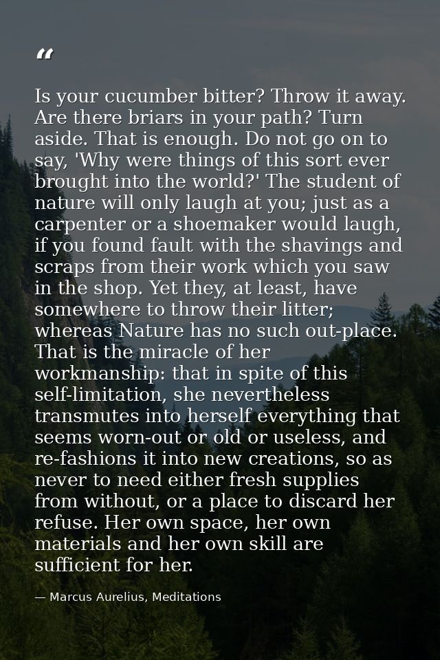 Is your cucumber bitter? Throw it away. Are there briars in your path? Turn aside. That is enough. Do not go on to say,  — Marcus Aurelius, Meditations