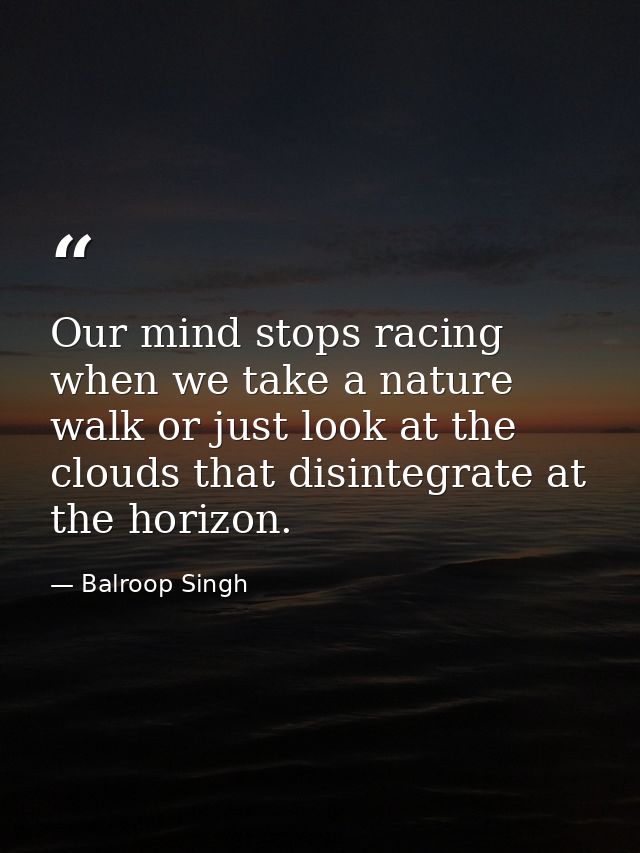 Our mind stops racing when we take a nature walk or just look at the clouds that disintegrate at the horizon. — Balroop Singh