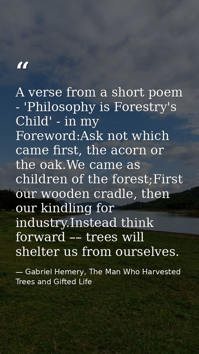 A verse from a short poem - 'Philosophy is Forestry's Child' - in my Foreword:Ask not which came first, the acorn or the — Gabriel Hemery, The Man Who Harvested Trees and Gifted Life