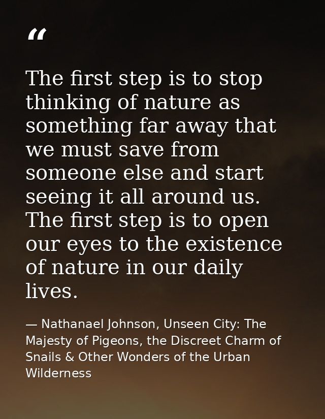 The first step is to stop thinking of nature as something far away that we must save from someone else and start seeing  — Nathanael Johnson, Unseen City: The Majesty of Pigeons, the Discreet Charm of Snails & Other Wonders of the Urban Wilderness