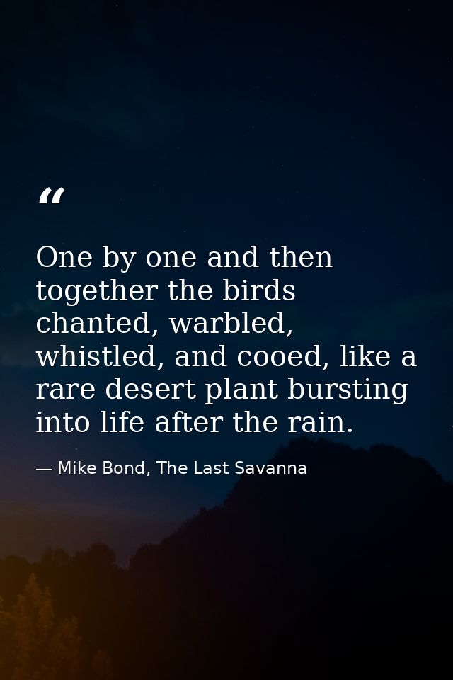 One by one and then together the birds chanted, warbled, whistled, and cooed, like a rare desert plant bursting into lif — Mike Bond, The Last Savanna