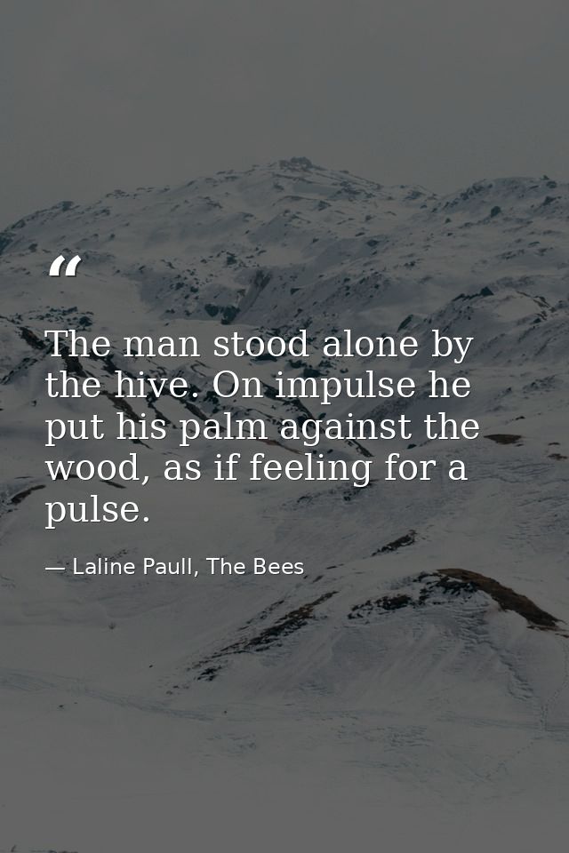 The man stood alone by the hive. On impulse he put his palm against the wood, as if feeling for a pulse. — Laline Paull, The Bees