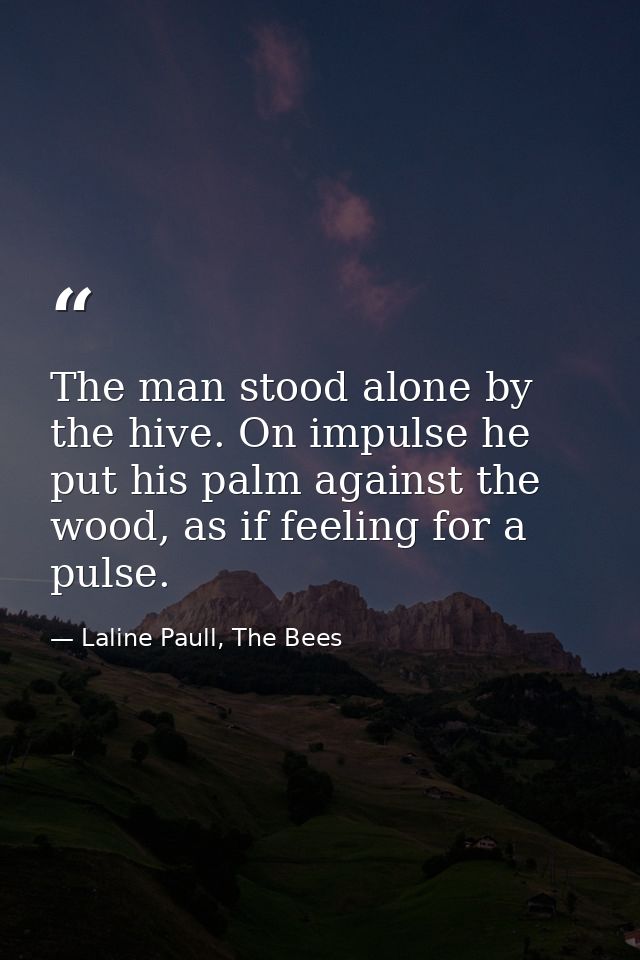 The man stood alone by the hive. On impulse he put his palm against the wood, as if feeling for a pulse. — Laline Paull, The Bees