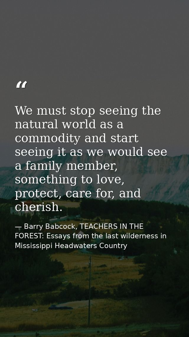 We must stop seeing the natural world as a commodity and start seeing it as we would see a family member, something to l — Barry Babcock, TEACHERS IN THE FOREST: Essays from the last wilderness in Mississippi Headwaters Country