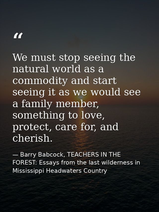 We must stop seeing the natural world as a commodity and start seeing it as we would see a family member, something to l — Barry Babcock, TEACHERS IN THE FOREST: Essays from the last wilderness in Mississippi Headwaters Country