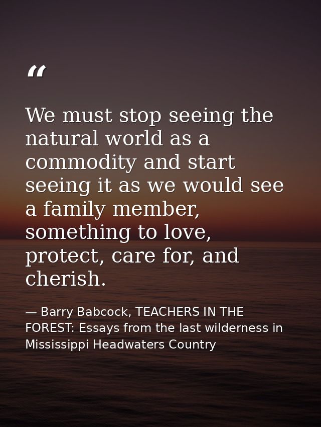 We must stop seeing the natural world as a commodity and start seeing it as we would see a family member, something to l — Barry Babcock, TEACHERS IN THE FOREST: Essays from the last wilderness in Mississippi Headwaters Country
