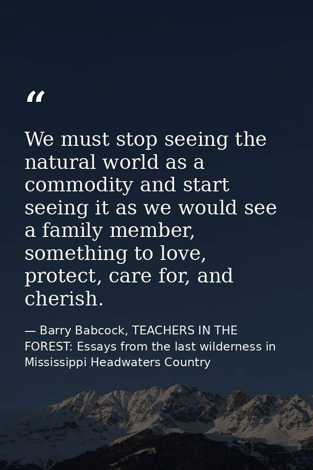We must stop seeing the natural world as a commodity and start seeing it as we would see a family member, something to l — Barry Babcock, TEACHERS IN THE FOREST: Essays from the last wilderness in Mississippi Headwaters Country