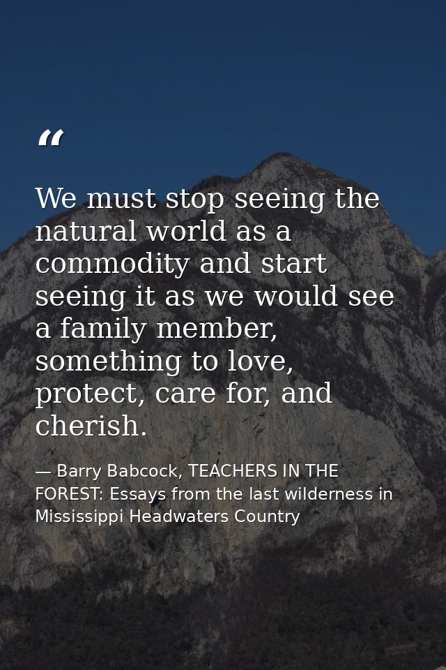 We must stop seeing the natural world as a commodity and start seeing it as we would see a family member, something to l — Barry Babcock, TEACHERS IN THE FOREST: Essays from the last wilderness in Mississippi Headwaters Country