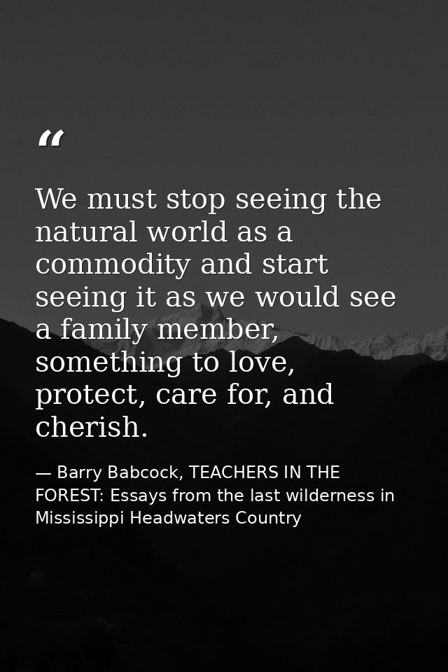 We must stop seeing the natural world as a commodity and start seeing it as we would see a family member, something to l — Barry Babcock, TEACHERS IN THE FOREST: Essays from the last wilderness in Mississippi Headwaters Country
