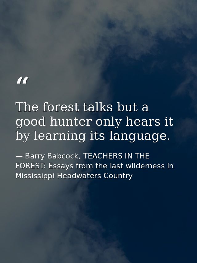 The forest talks but a good hunter only hears it by learning its language. — Barry Babcock, TEACHERS IN THE FOREST: Essays from the last wilderness in Mississippi Headwaters Country