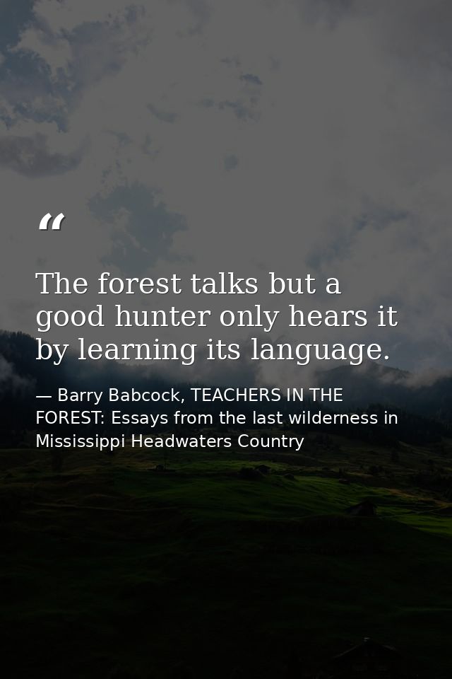 The forest talks but a good hunter only hears it by learning its language. — Barry Babcock, TEACHERS IN THE FOREST: Essays from the last wilderness in Mississippi Headwaters Country
