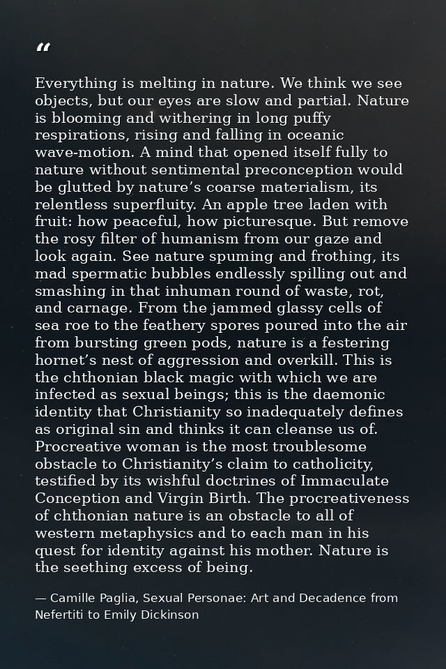 Everything is melting in nature. We think we see objects, but our eyes are slow and partial. Nature is blooming and with — Camille Paglia, Sexual Personae: Art and Decadence from Nefertiti to Emily Dickinson
