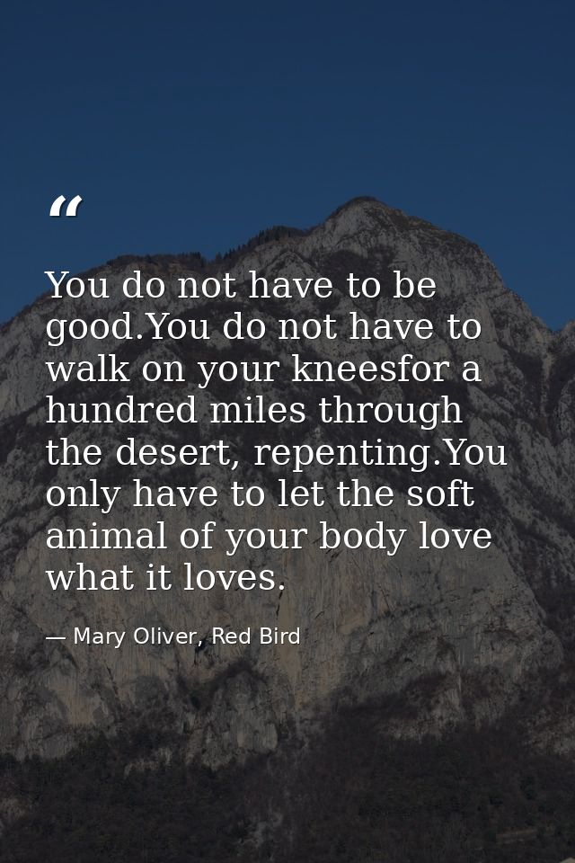 You do not have to be good.You do not have to walk on your kneesfor a hundred miles through the desert, repenting.You on — Mary Oliver, Red Bird