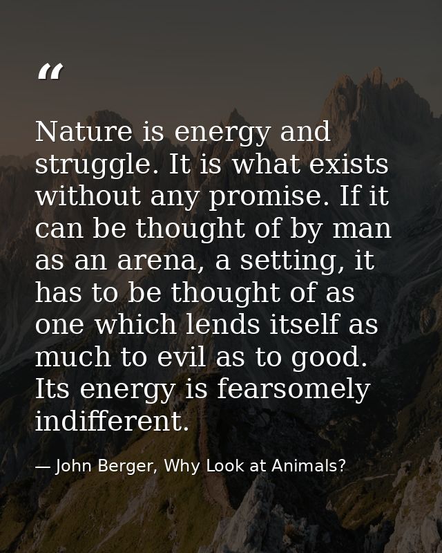 Nature is energy and struggle. It is what exists without any promise. If it can be thought of by man as an arena, a sett — John Berger, Why Look at Animals?