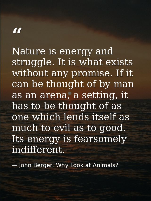 Nature is energy and struggle. It is what exists without any promise. If it can be thought of by man as an arena, a sett — John Berger, Why Look at Animals?