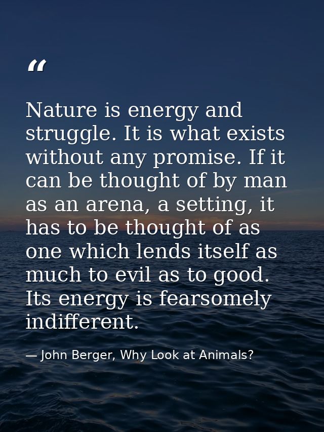 Nature is energy and struggle. It is what exists without any promise. If it can be thought of by man as an arena, a sett — John Berger, Why Look at Animals?