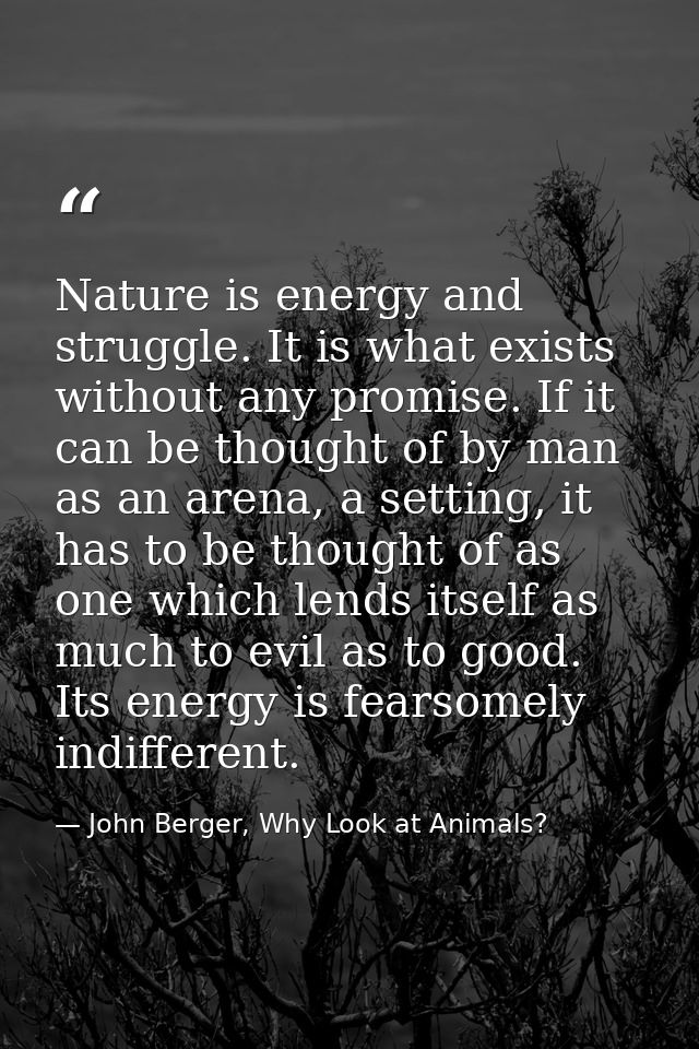 Nature is energy and struggle. It is what exists without any promise. If it can be thought of by man as an arena, a sett — John Berger, Why Look at Animals?