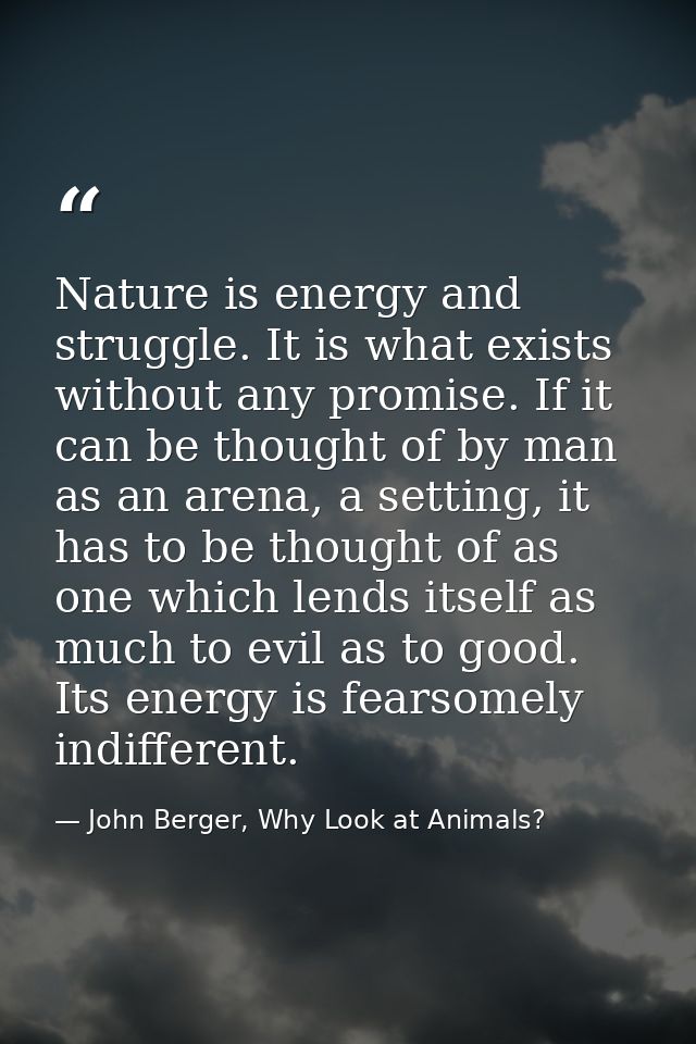 Nature is energy and struggle. It is what exists without any promise. If it can be thought of by man as an arena, a sett — John Berger, Why Look at Animals?