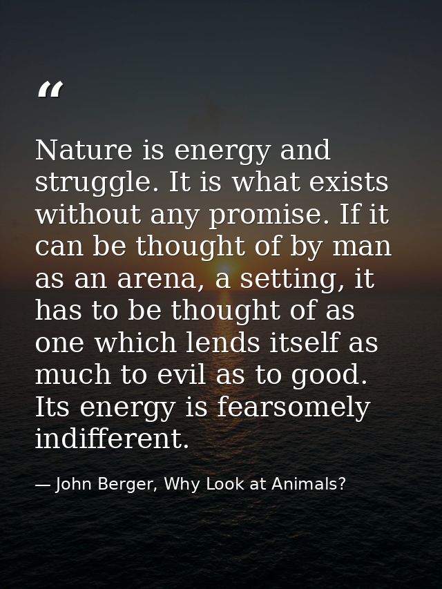 Nature is energy and struggle. It is what exists without any promise. If it can be thought of by man as an arena, a sett — John Berger, Why Look at Animals?
