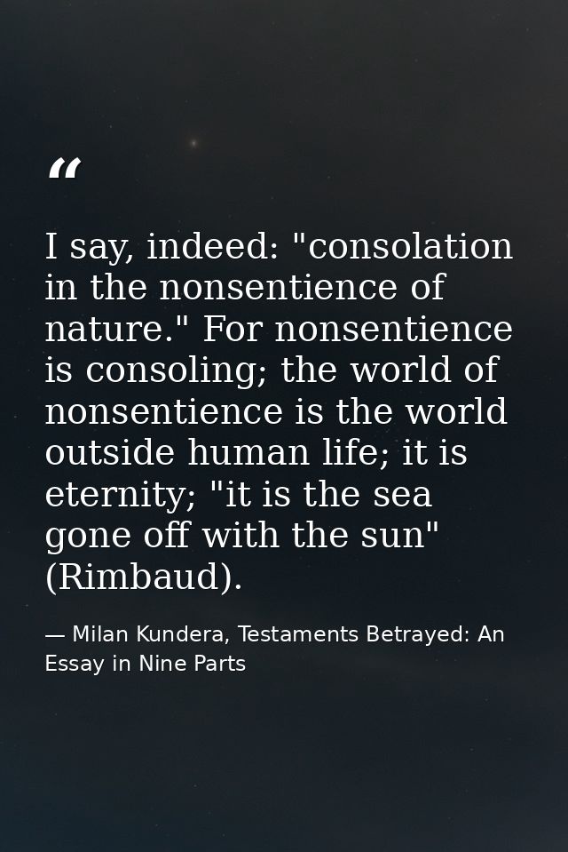 I say, indeed: "consolation in the nonsentience of nature." For nonsentience is consoling; the world of nonsentience is  — Milan Kundera, Testaments Betrayed: An Essay in Nine Parts