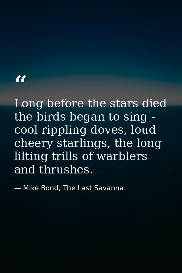 Long before the stars died the birds began to sing - cool rippling doves, loud cheery starlings, the long lilting trills — Mike Bond, The Last Savanna