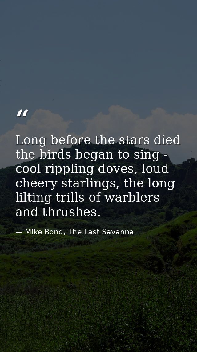 Long before the stars died the birds began to sing - cool rippling doves, loud cheery starlings, the long lilting trills — Mike Bond, The Last Savanna