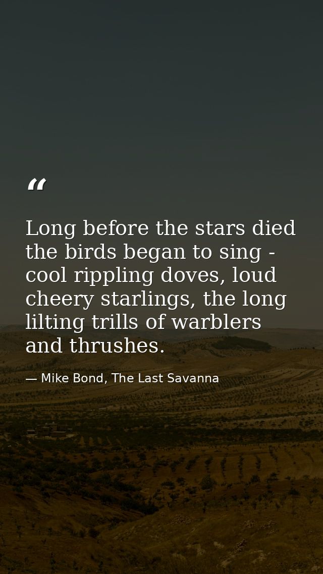 Long before the stars died the birds began to sing - cool rippling doves, loud cheery starlings, the long lilting trills — Mike Bond, The Last Savanna