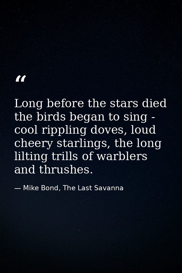Long before the stars died the birds began to sing - cool rippling doves, loud cheery starlings, the long lilting trills — Mike Bond, The Last Savanna