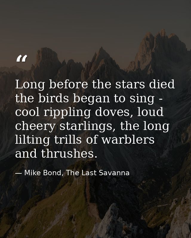 Long before the stars died the birds began to sing - cool rippling doves, loud cheery starlings, the long lilting trills — Mike Bond, The Last Savanna