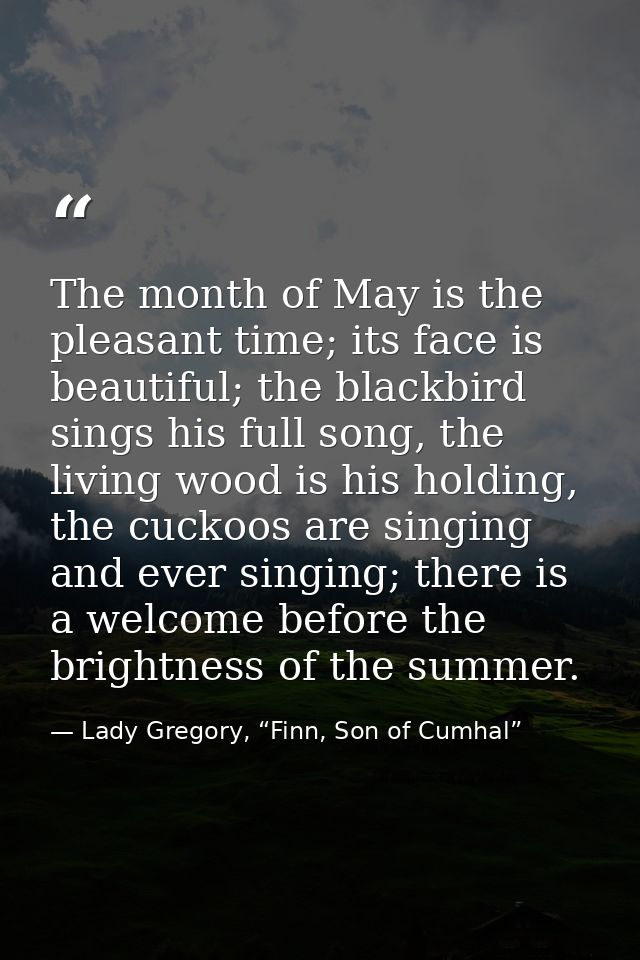 The month of May is the pleasant time; its face is beautiful; the blackbird sings his full song, the living wood is his  — Lady Gregory, “Finn, Son of Cumhal”