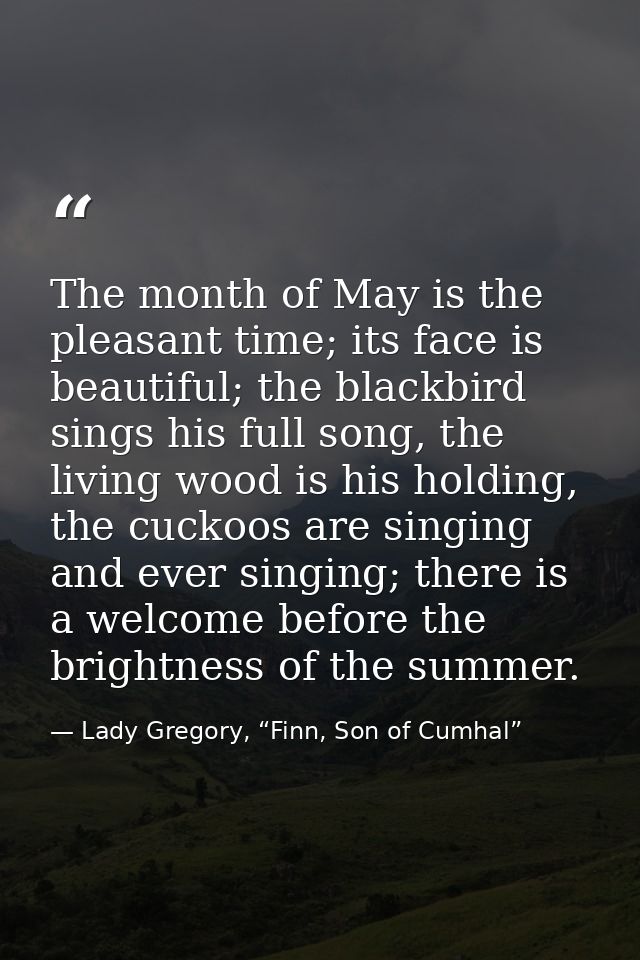 The month of May is the pleasant time; its face is beautiful; the blackbird sings his full song, the living wood is his  — Lady Gregory, “Finn, Son of Cumhal”