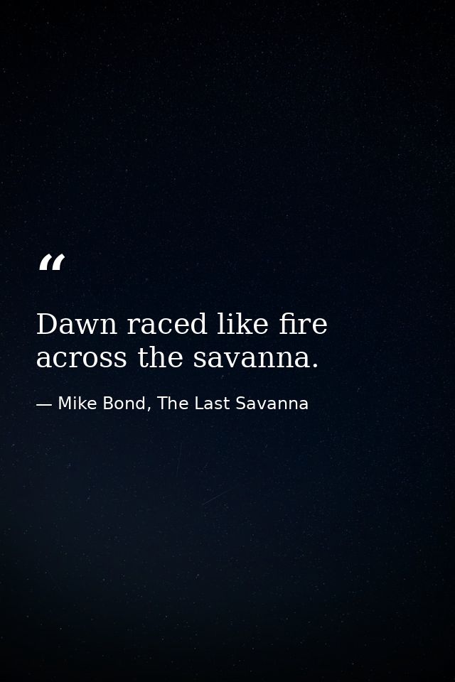 Dawn raced like fire across the savanna. — Mike Bond, The Last Savanna