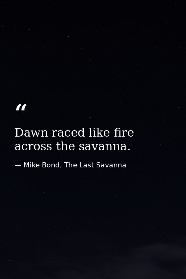 Dawn raced like fire across the savanna. — Mike Bond, The Last Savanna