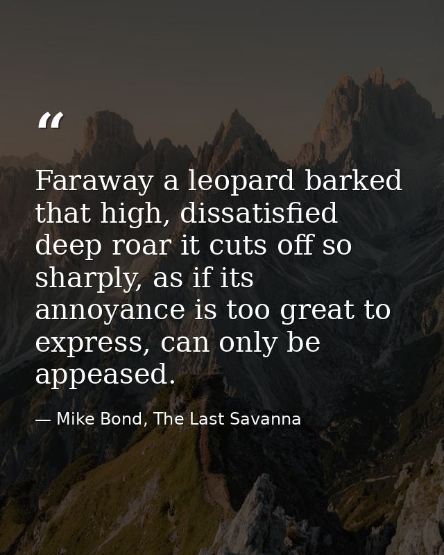 Faraway a leopard barked that high, dissatisfied deep roar it cuts off so sharply, as if its annoyance is too great to e — Mike Bond, The Last Savanna