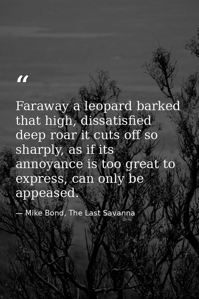 Faraway a leopard barked that high, dissatisfied deep roar it cuts off so sharply, as if its annoyance is too great to e — Mike Bond, The Last Savanna