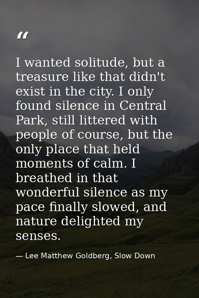 I wanted solitude, but a treasure like that didn't exist in the city. I only found silence in Central Park, still litter — Lee Matthew Goldberg, Slow Down