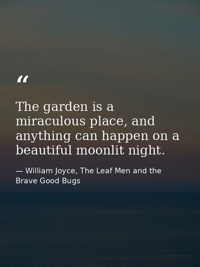 The garden is a miraculous place, and anything can happen on a beautiful moonlit night. — William Joyce, The Leaf Men and the Brave Good Bugs