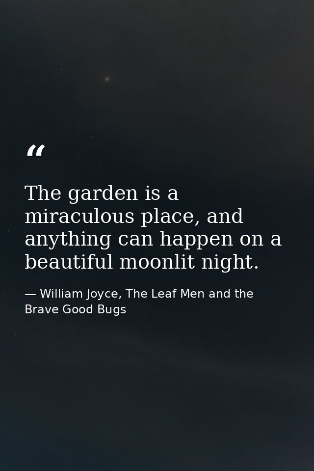 The garden is a miraculous place, and anything can happen on a beautiful moonlit night. — William Joyce, The Leaf Men and the Brave Good Bugs