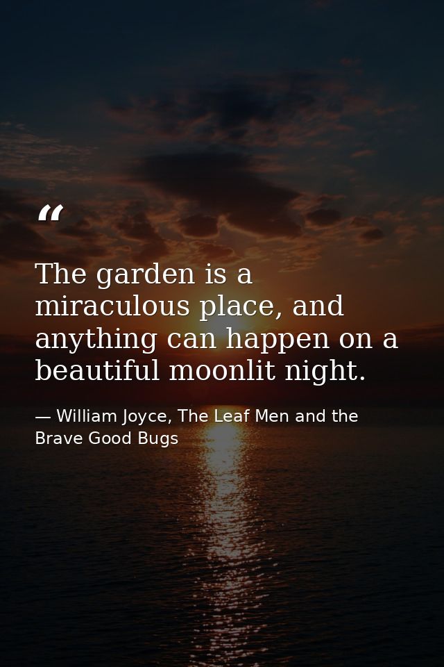 The garden is a miraculous place, and anything can happen on a beautiful moonlit night. — William Joyce, The Leaf Men and the Brave Good Bugs