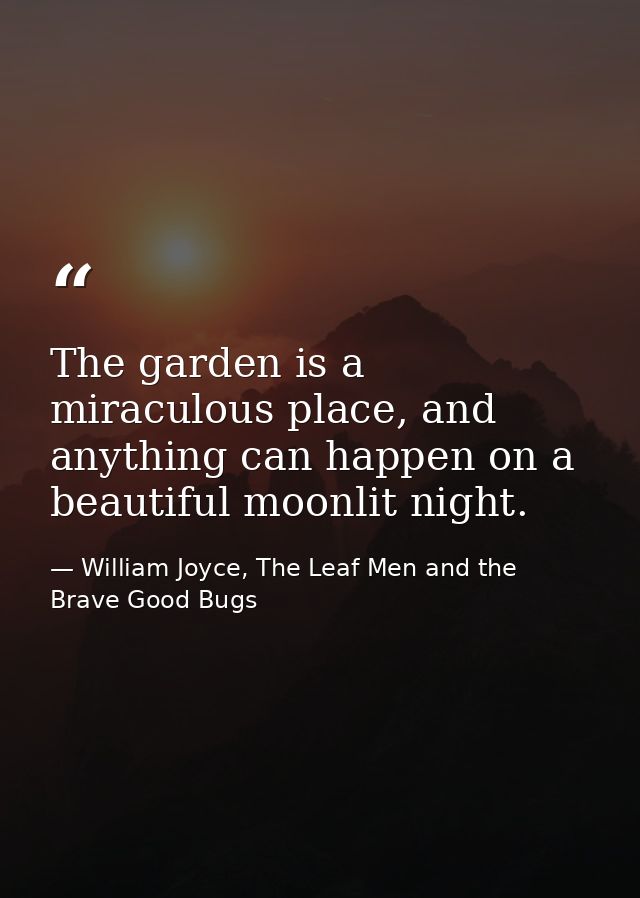 The garden is a miraculous place, and anything can happen on a beautiful moonlit night. — William Joyce, The Leaf Men and the Brave Good Bugs